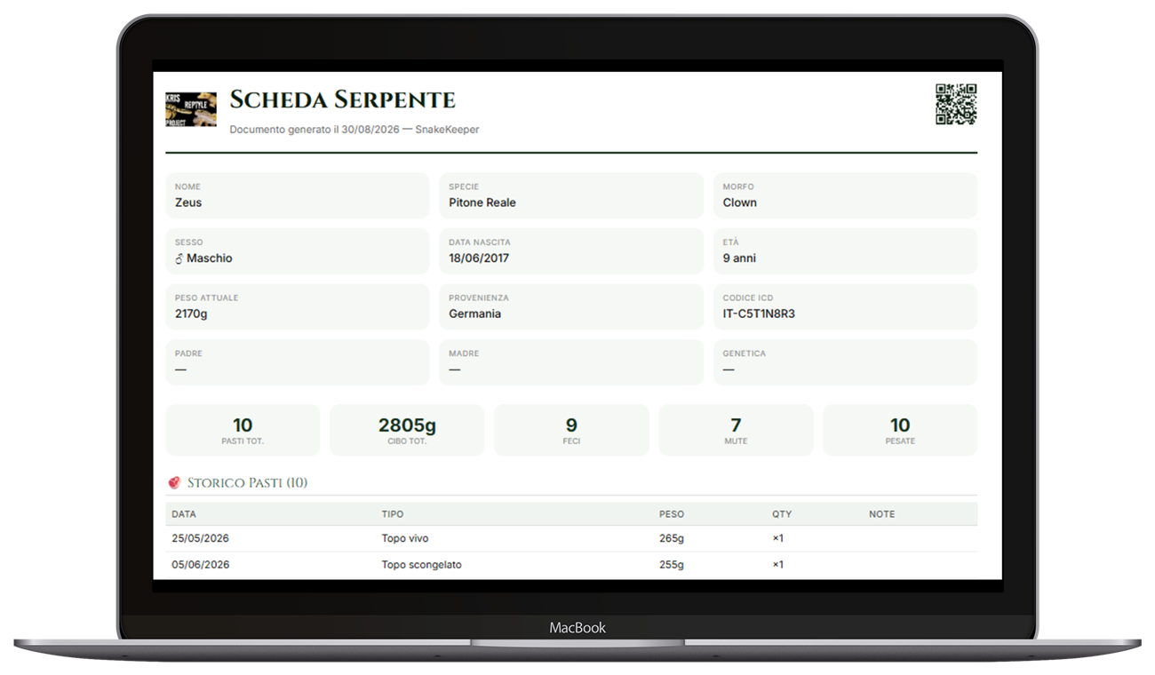 Schermata export PDF da desktop